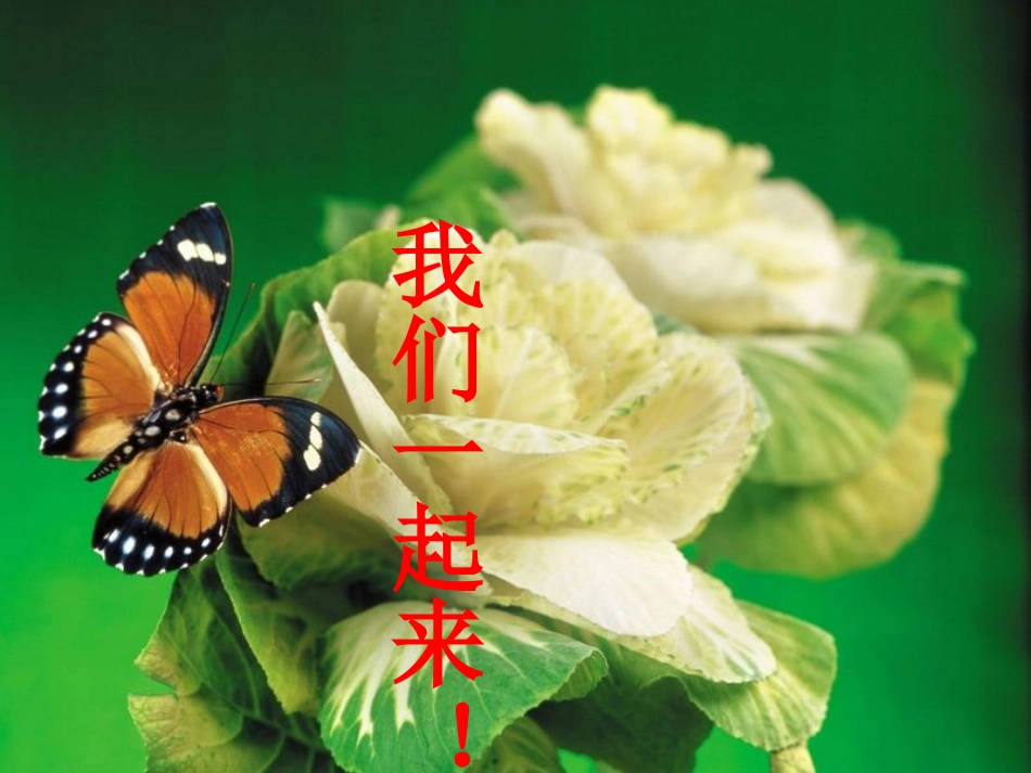 绘本培训-PPT_第2页