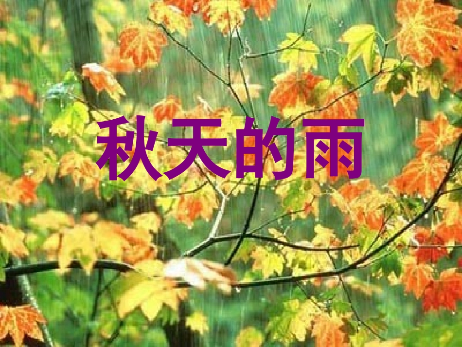 秋天的雨 (7)_第1页