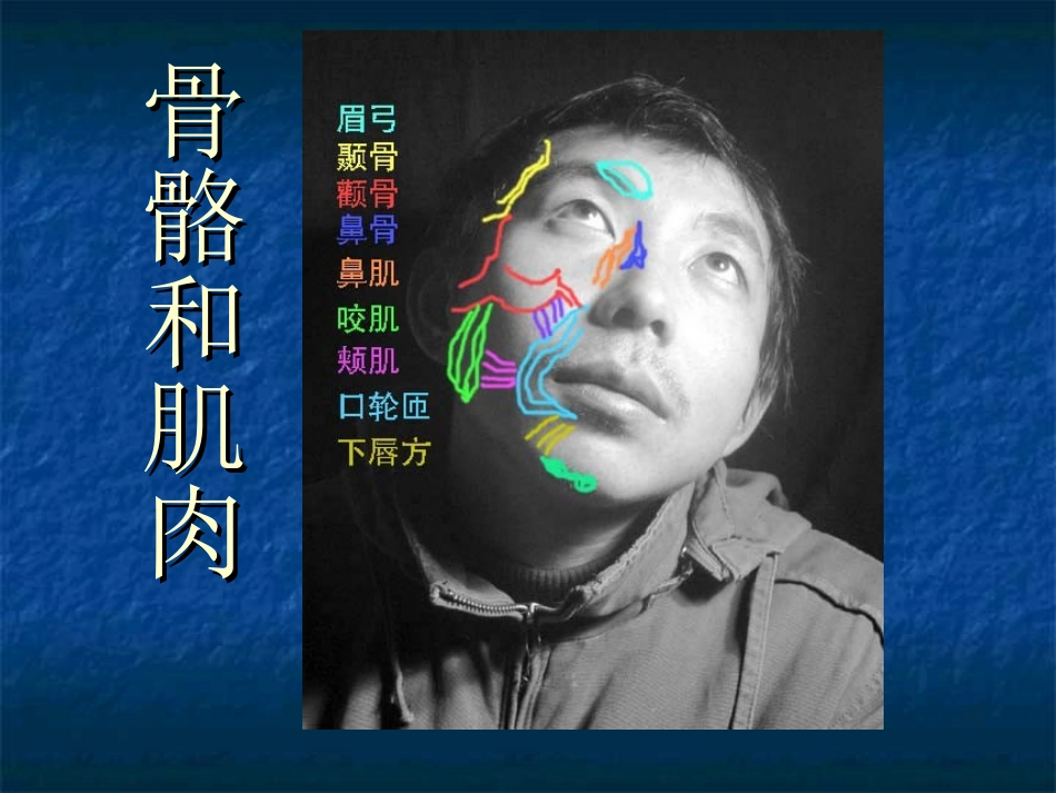 素描头像教学-课件_第2页
