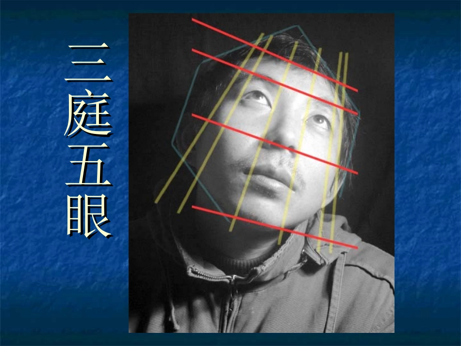 素描头像教学-课件_第3页