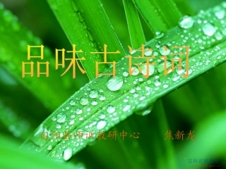 品味古诗词1