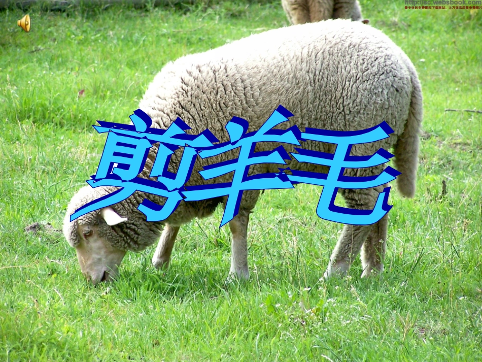 《剪羊毛》课件_第1页