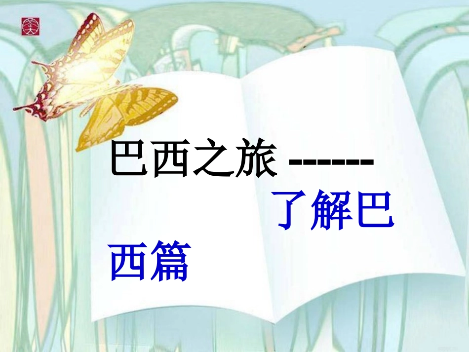 六一巴西课件定稿_第3页