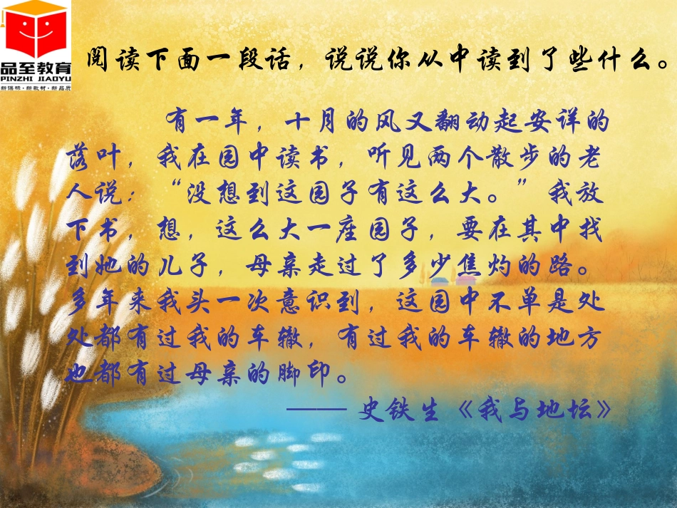 秋天的怀念 ()_第1页