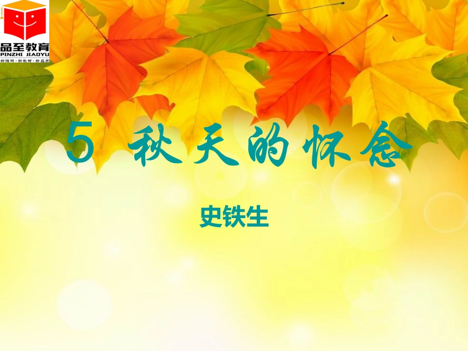 秋天的怀念 ()_第2页