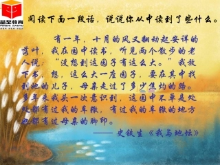秋天的怀念 ()