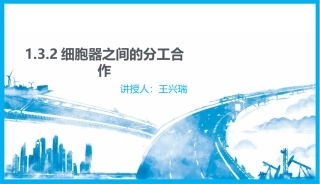 细胞器之间的分工合作