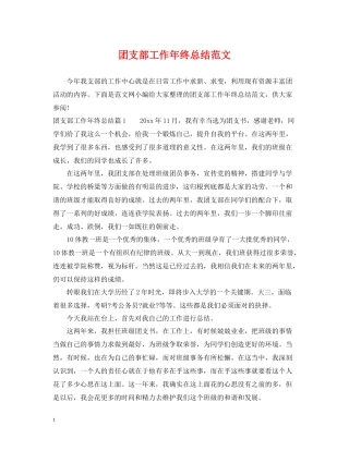 团支部工作年终总结范文