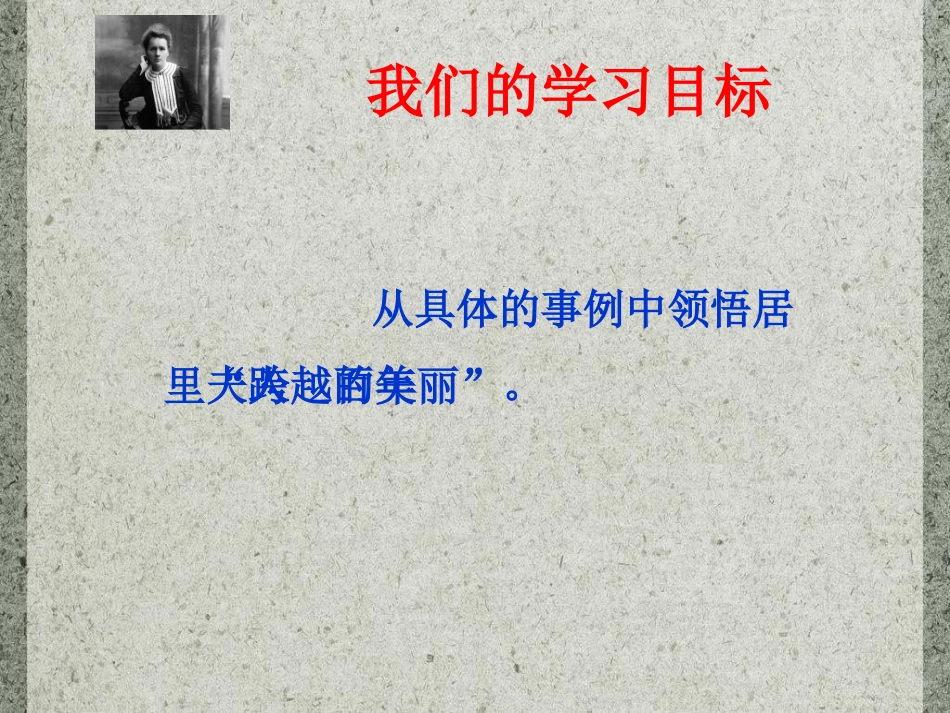 《跨越百年的美丽》第二课时课件_第2页