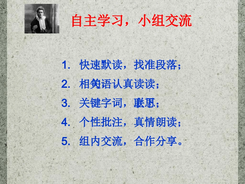 《跨越百年的美丽》第二课时课件_第3页