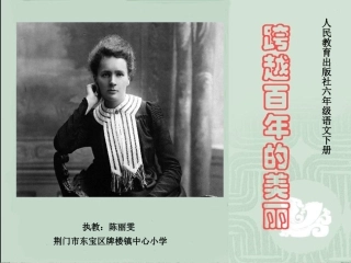 《跨越百年的美丽》第二课时课件