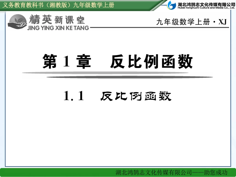 反比例函数 ()_第1页