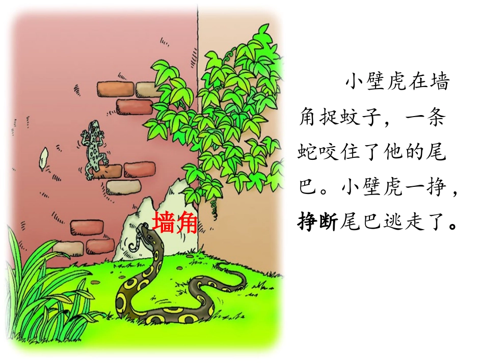 《小壁虎借尾巴》第二课时_第3页