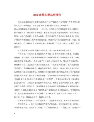 市场拓展总结报告