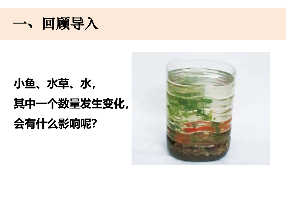 五上1-8《维护生态平衡》 (2)_第2页