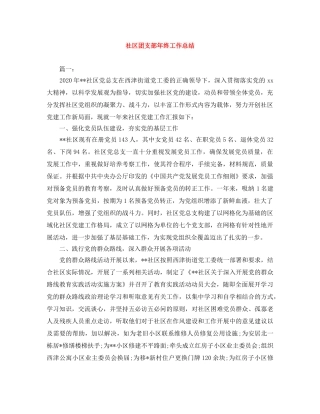 社区团支部年终工作总结 