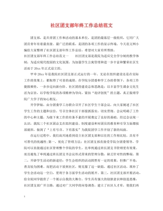 社区团支部年终工作总结范文 
