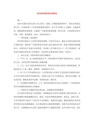 社区团支部年终总结报告 