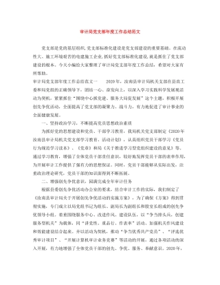 审计局党支部年度工作总结范文