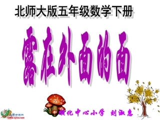 北师大版五年级下册数学《露在外面的面》PPT课件