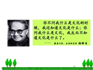 体味文化罗叶琴