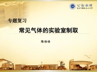 常见气体的实验室制取-11