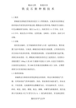 铁皮石斛栽培技术最新