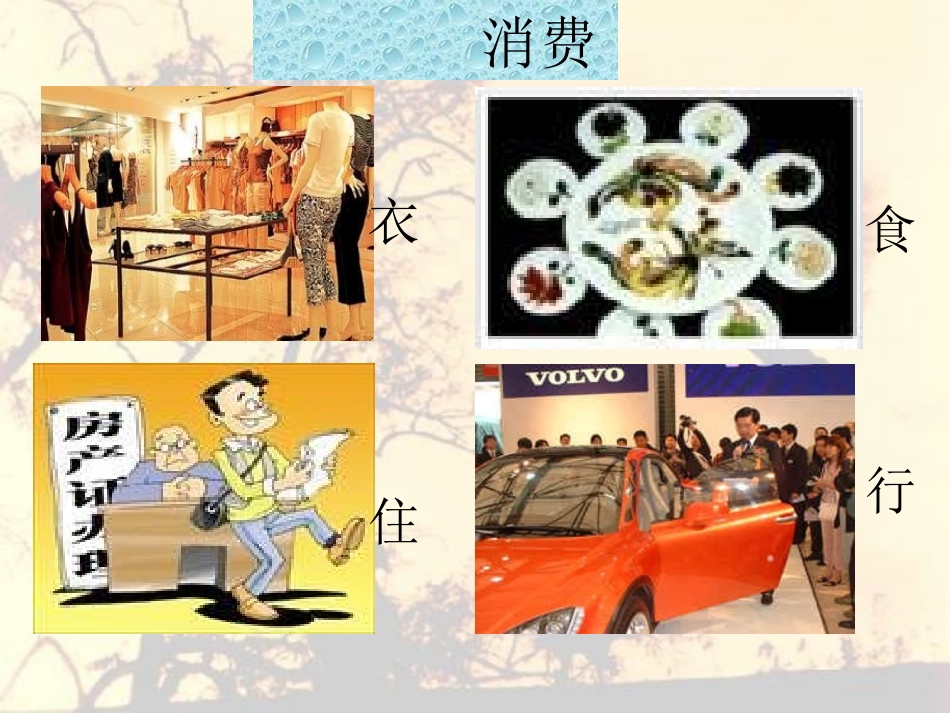 消费及其类型课件-高中政治人教版必修一(共张PPT)_第2页