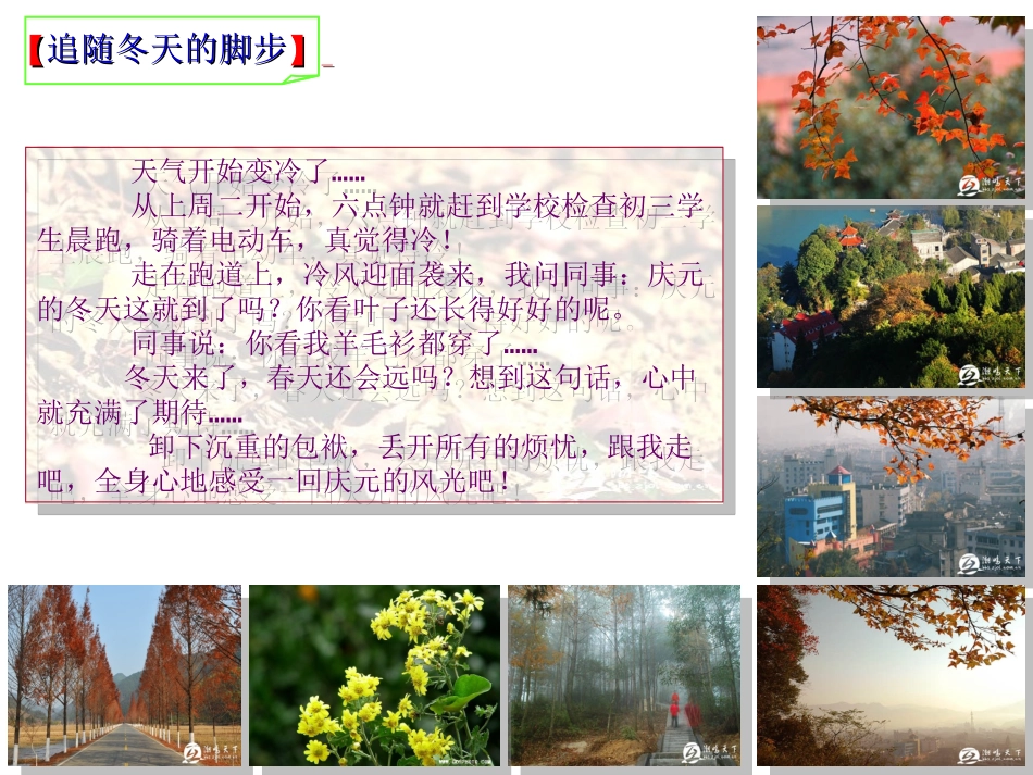 探索庆元菇乡文化之生态元素_第3页