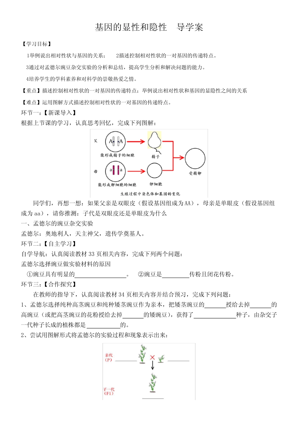 基因的显性和隐性 导学案 _第1页