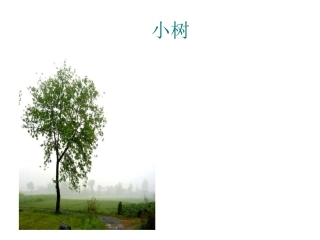 《爷爷和小树》_2