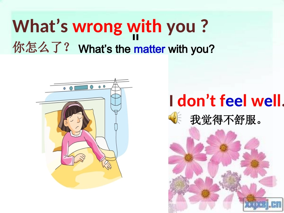 六上Unit10Idon'tfeelwelltoday_第3页