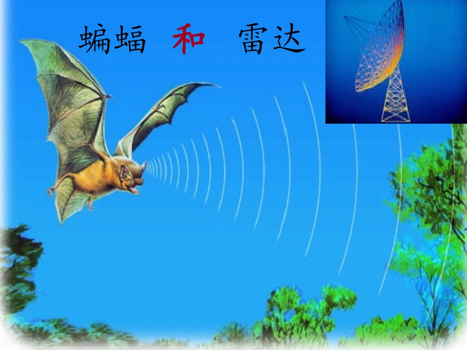 、蝙蝠和雷达_第2页