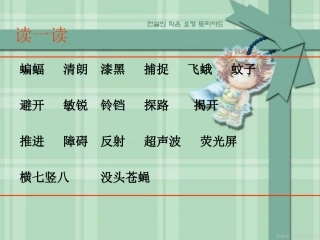 、蝙蝠和雷达