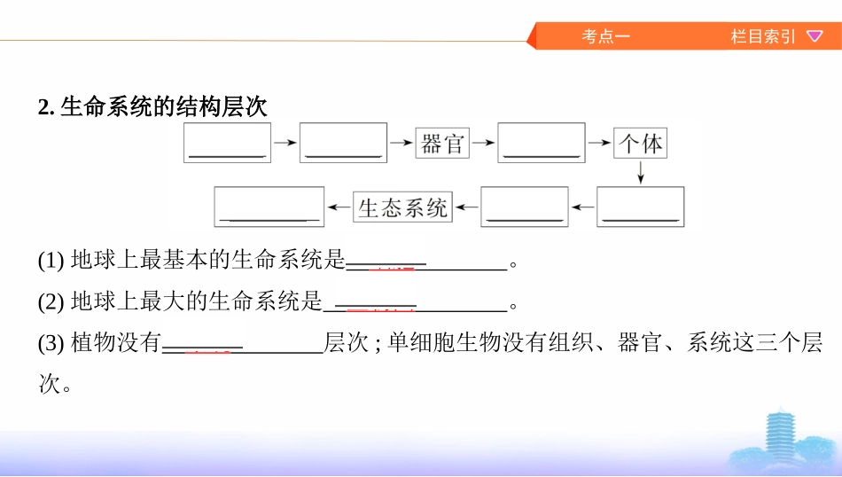 第1讲　走近细胞_第3页