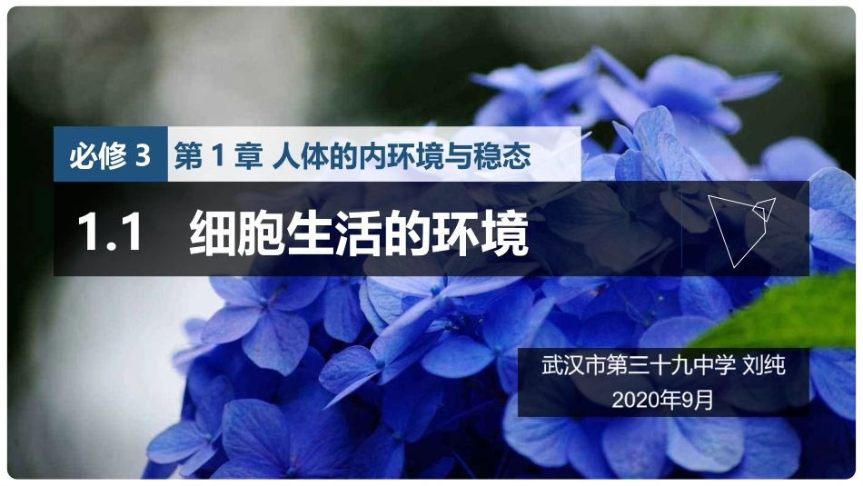 细胞生活的环境_第3页