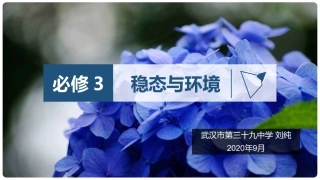 细胞生活的环境