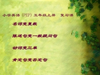 五年级上册语法复习（课件）