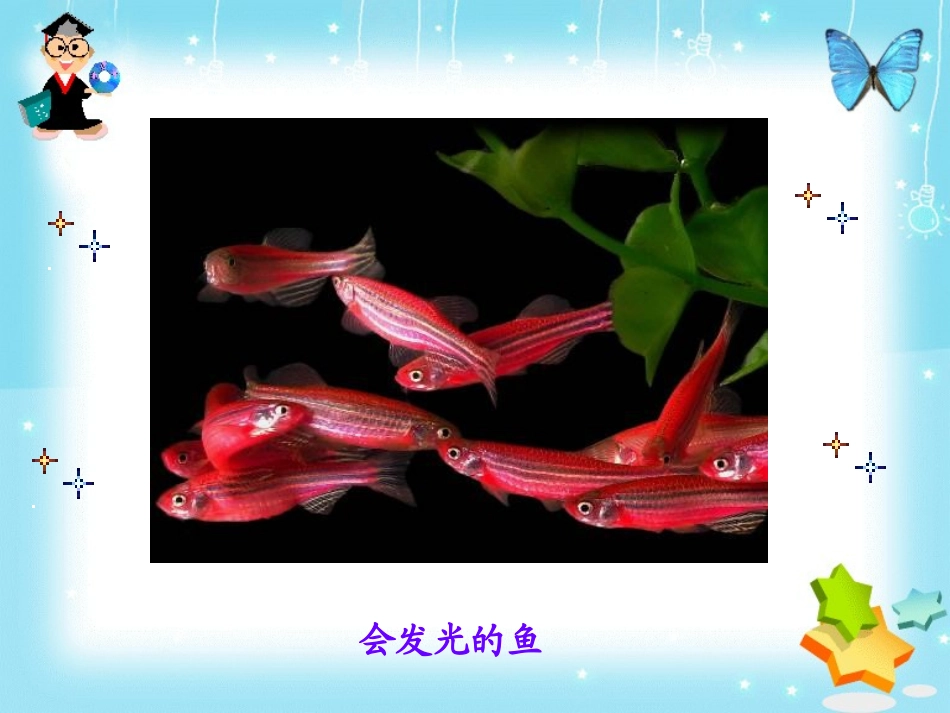 基因工程的应用_第2页