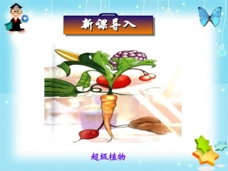 基因工程的应用