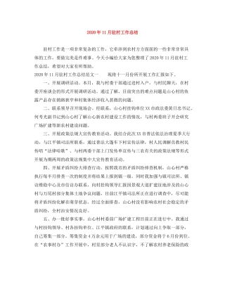 2020年11月驻村工作总结