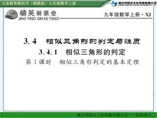 第1课时相似三角形判定的基本定理