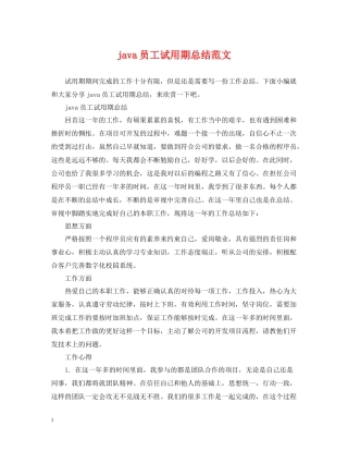 java员工试用期总结范文