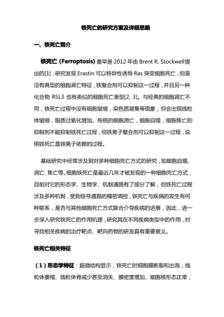 铁死亡的研究方案及详细思路