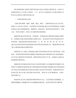 集团五精管理实施方案