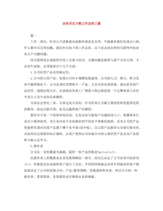 业务员见习期工作总结三篇