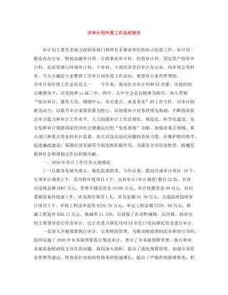 市审计局年度工作总结报告