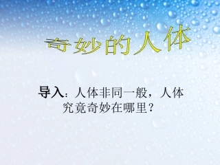 奇妙的人体-