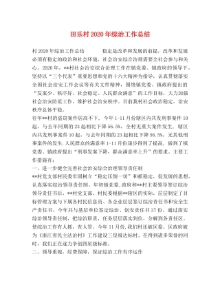 田乐村2020年综治工作总结 