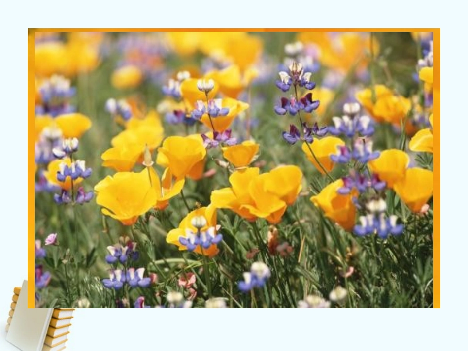 三年级科学上册-植物、动物、人-1课件-苏教版_第2页